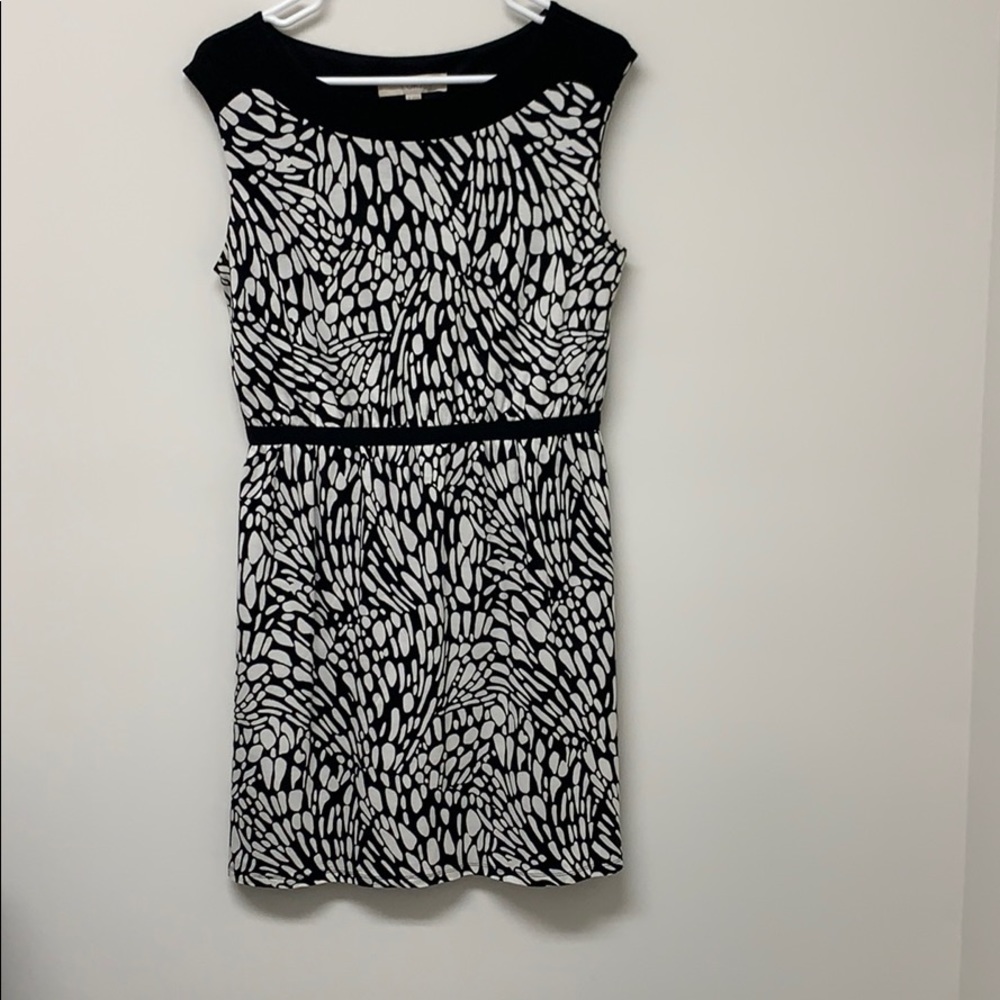 Ann Taylor sleeveless scoop neck dress!